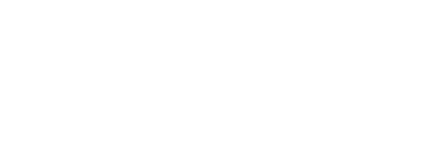 termavis Logo